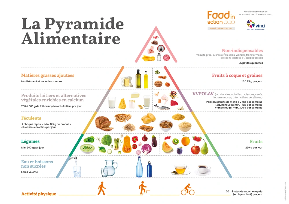 Pyramide de nutrition
